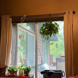 Meet your Posher, Janice